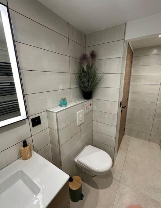 Le Briand Appartement 4Etoiles Nancy Thermal Cosy Avec Terrasse Wifi Esterno foto