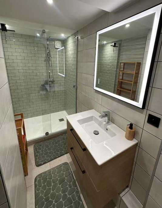 Le Briand Appartement 4Etoiles Nancy Thermal Cosy Avec Terrasse Wifi Esterno foto