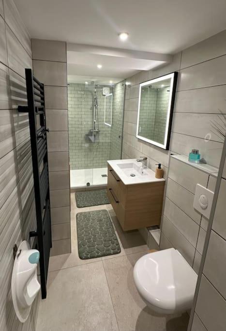 Le Briand Appartement 4Etoiles Nancy Thermal Cosy Avec Terrasse Wifi Esterno foto