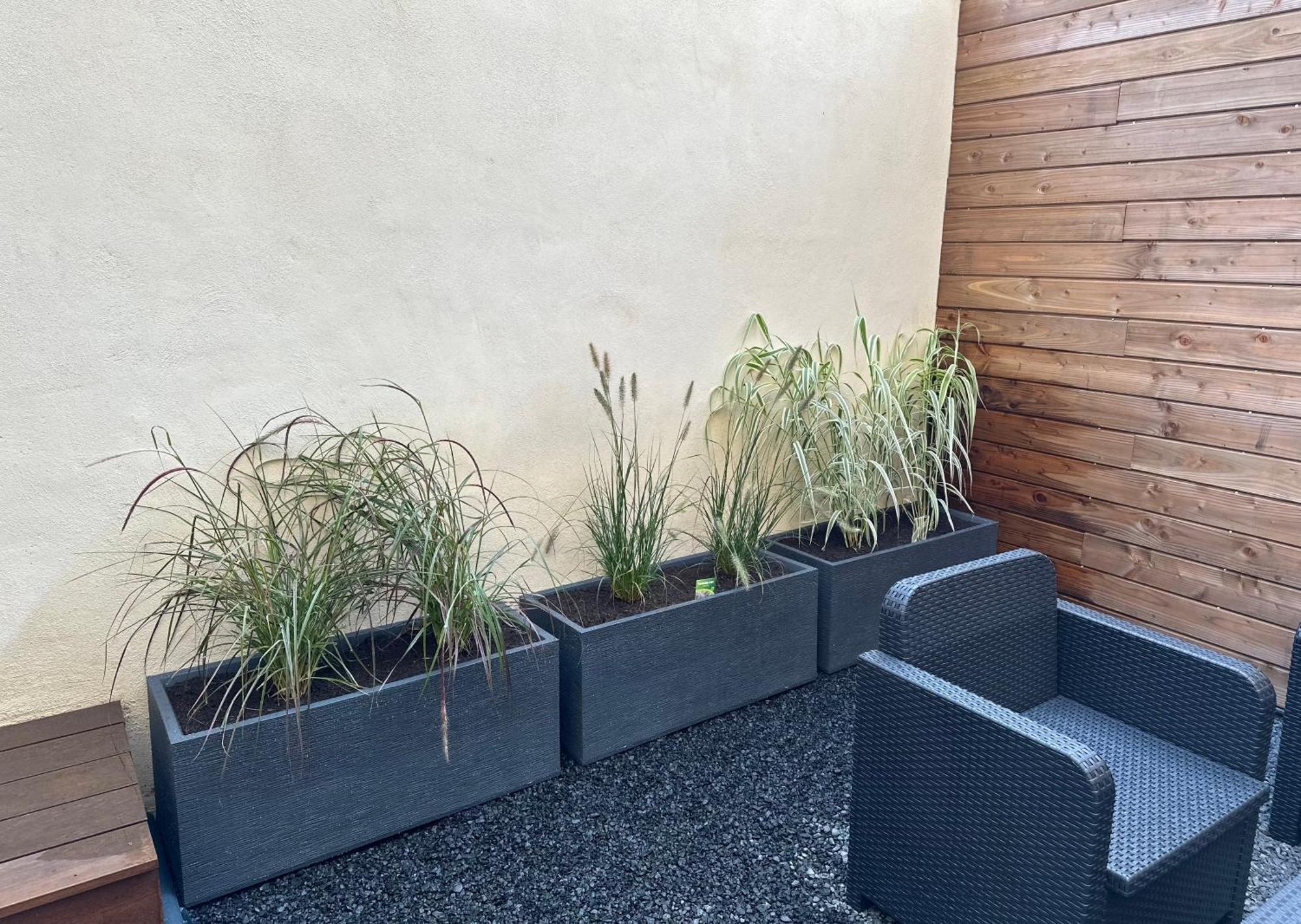 Le Briand Appartement 4Etoiles Nancy Thermal Cosy Avec Terrasse Wifi Esterno foto
